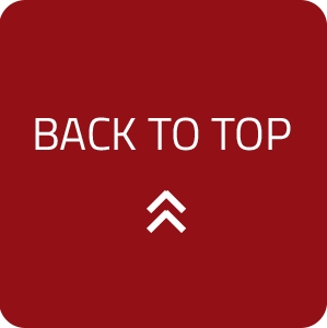 BACK TO TOP