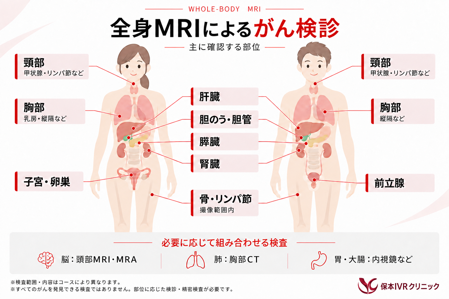 全身MRIによるがん検診 主に確認する部位（頸部・胸部・肝臓・胆のう・膵臓・腎臓・子宮卵巣・前立腺・骨リンパ節）