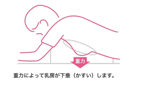 重力によって乳房が下垂する様子（イラスト）